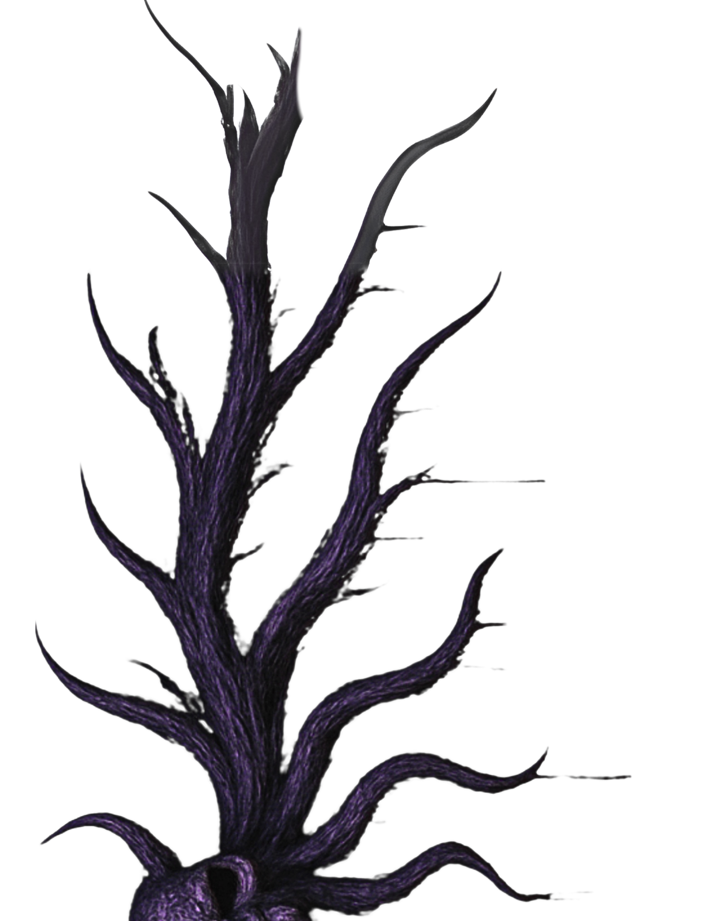 Ripley Scroll
