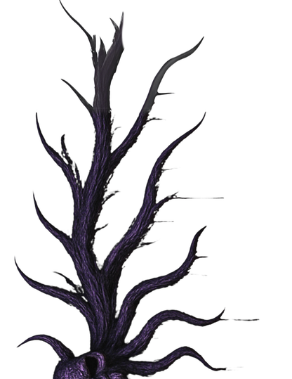 Ripley Scroll