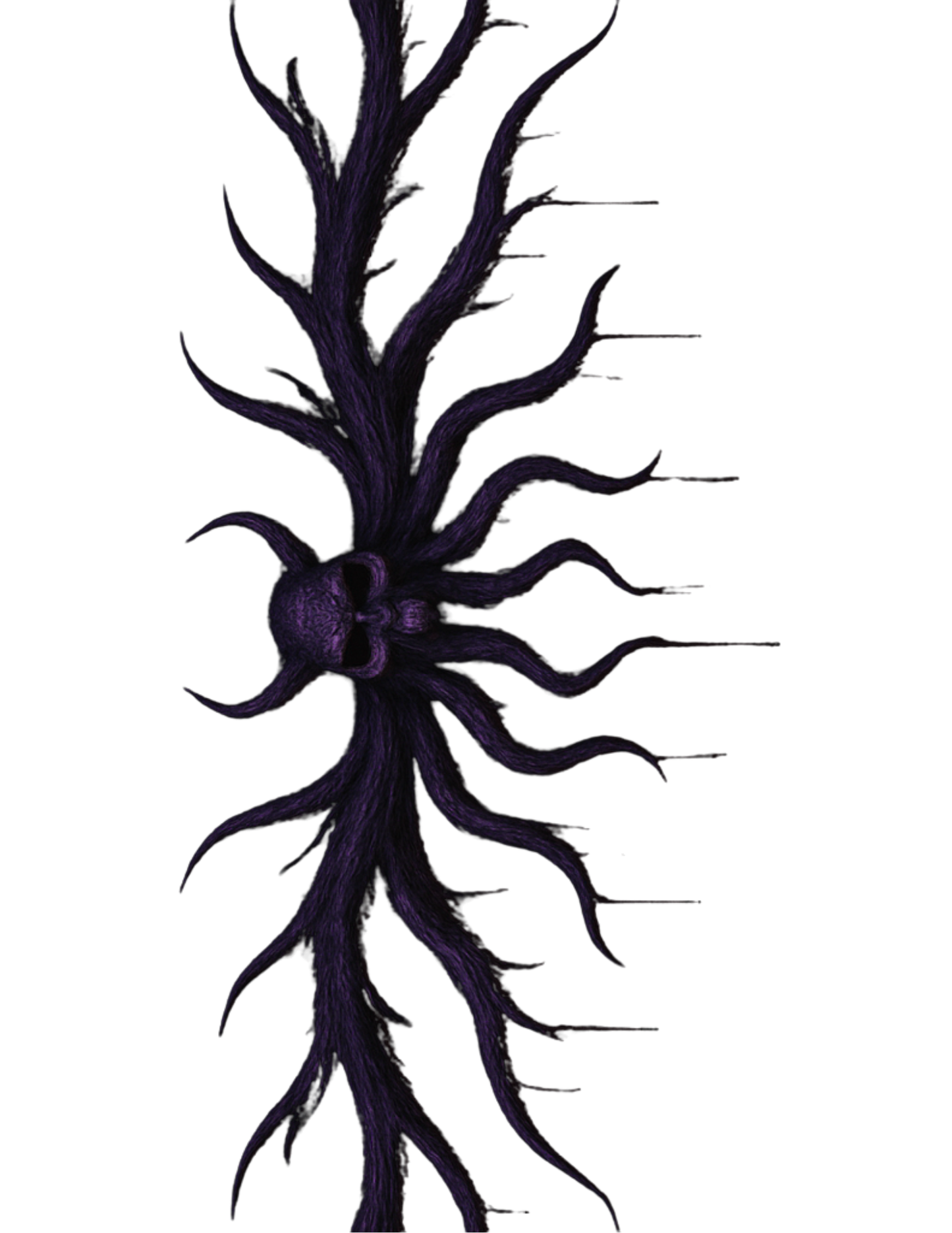 Ripley Scroll