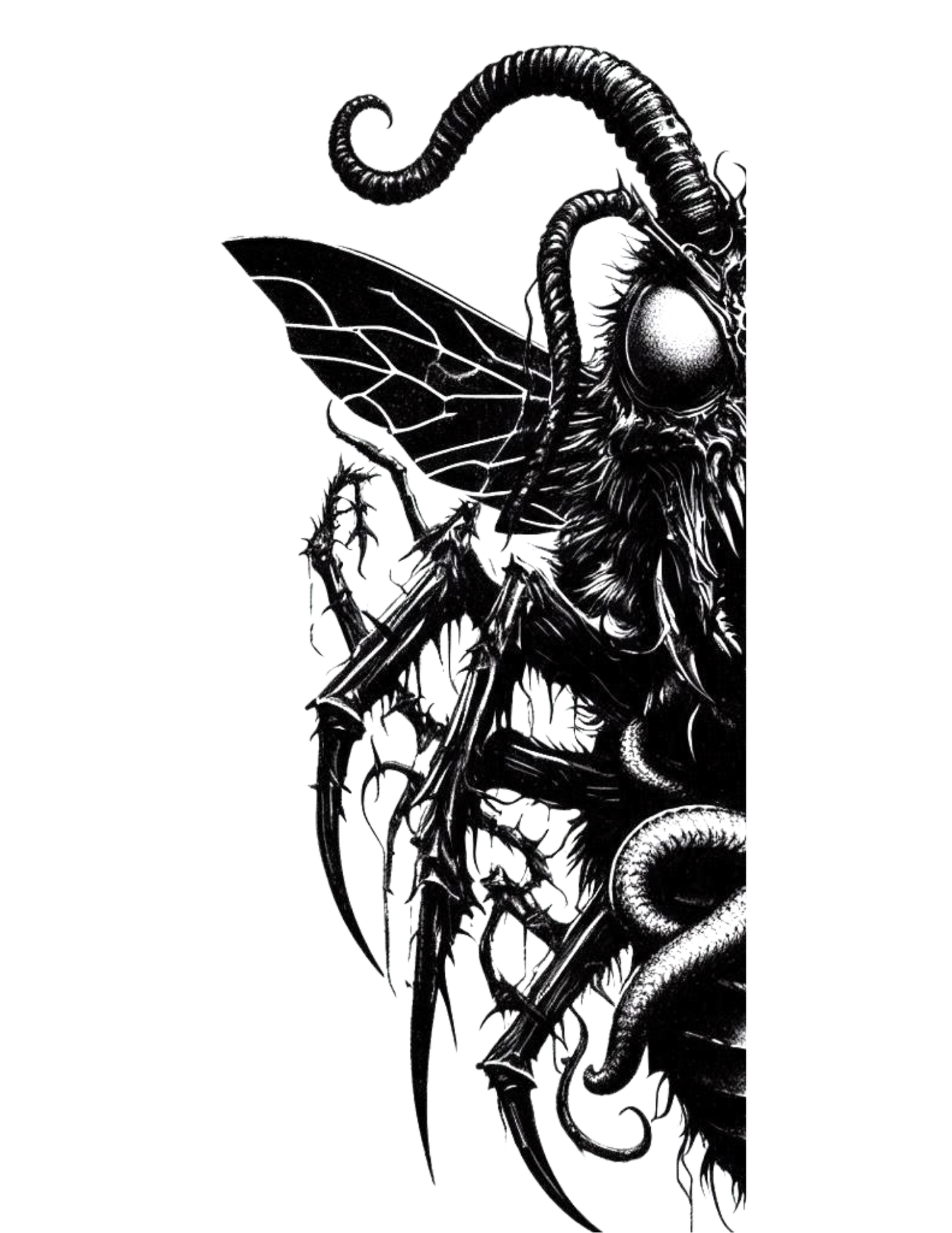 Ripley Scroll