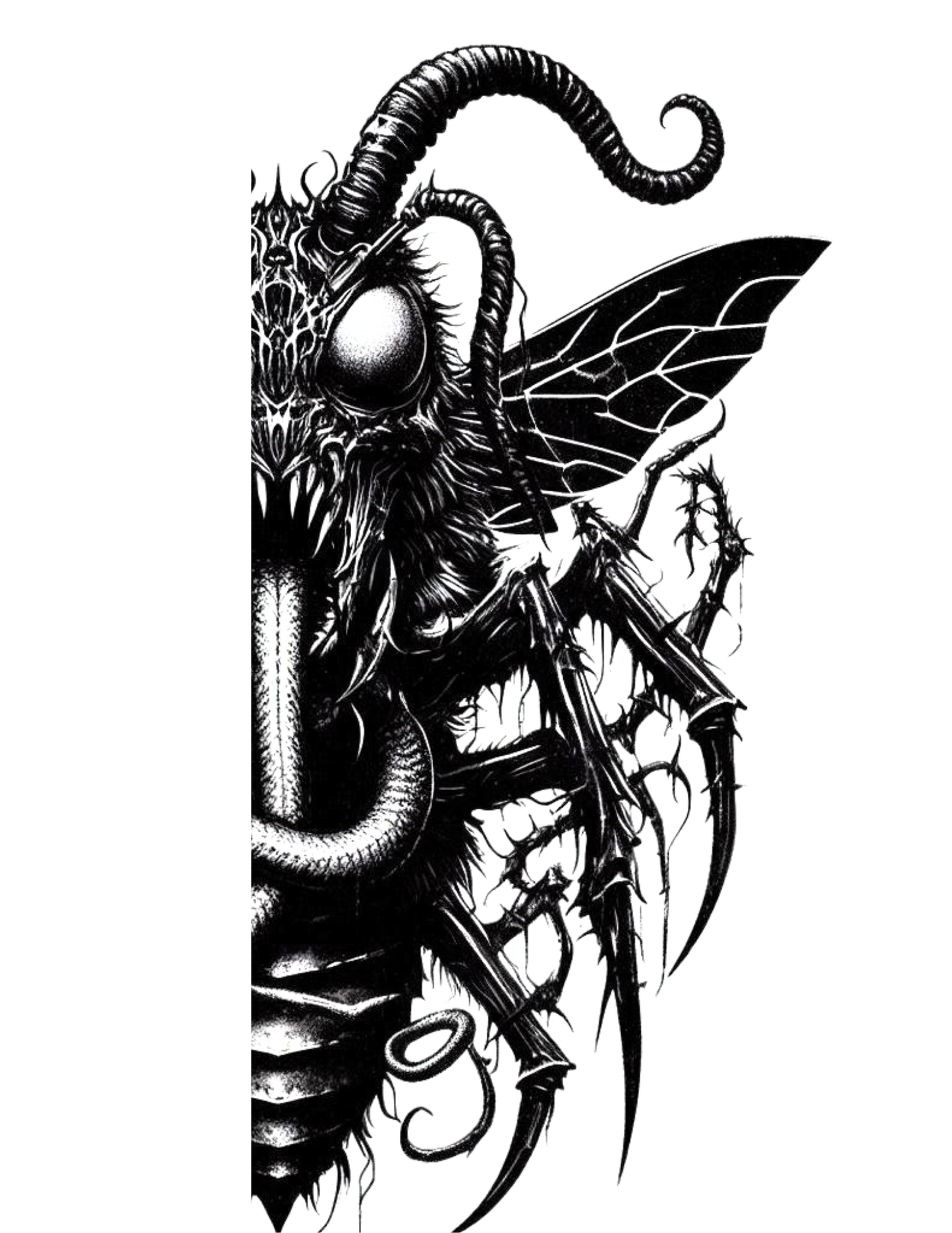 Ripley Scroll