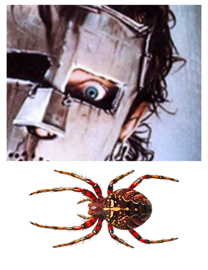 Ripley Scroll