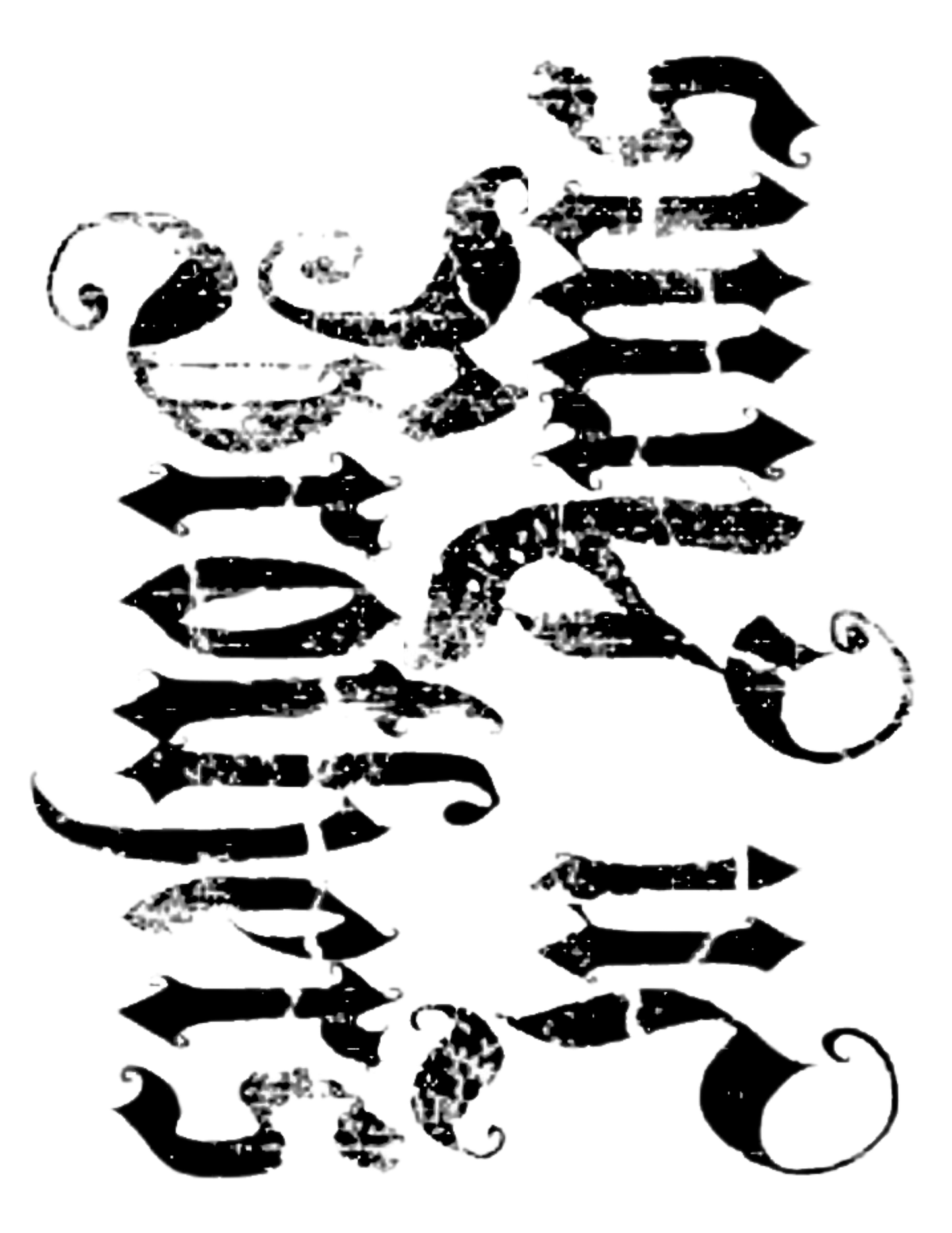 Ripley Scroll